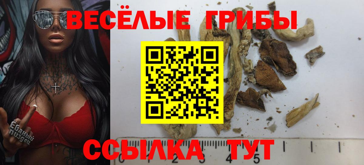 Псилоцибиновые грибы Magic Shrooms  Псилоцибиновые грибы Magic Shrooms  Вход с VPN  Карасук 